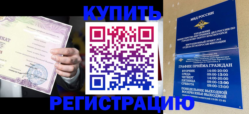 временная регистрация собственник в Змеиногорске